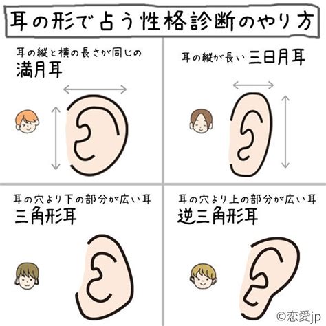 耳型 性格|【人相占い】耳の大きさ、形、位置で分かる性格・恋愛 